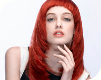 Fest�s, sz�nez�s